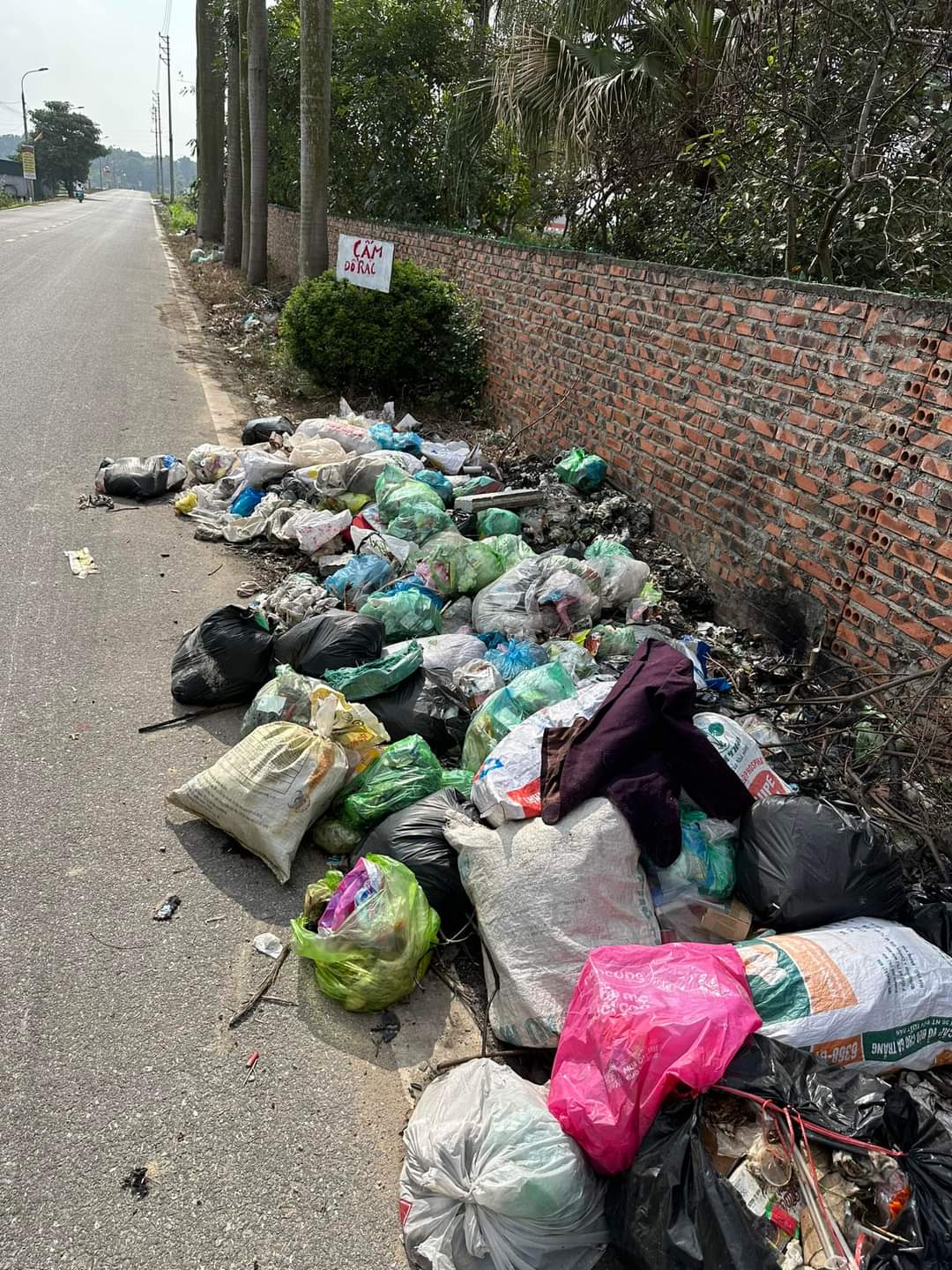 Ngã tư Tân Việt có nhiều rác thải sinh hoạt ở lề đường